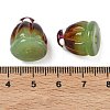 Handmade Lampwork Beads LAMP-Z022-01A-3
