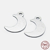 925 Sterling Silver Charms STER-I014-19S-4