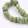 Natural Peridot Beads Strands G-N165-13-3