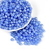 Opaque Colours Glass Seed Beads SEED-N007-34I-1