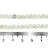 Natural Prehnite Beads Strands LS-G-G139-A05-03-5