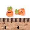 Cartoon Transparent Resin Cabochons CRES-R459-01C-3