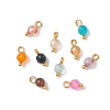 Natural Agate(Dyed & Heated) Faceted Round Charms PALLOY-JF04286-01-1