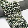 Natural Tree Agate Beads Strands G-P573-A17-01-1
