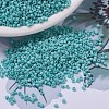 MIYUKI Delica Beads SEED-JP0008-DB0878-1