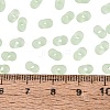 FGB Frosted Transparent Glass Seed Beads SEED-N013-06A-08-4