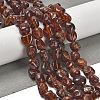 Natural Garnet Beads Strands G-P497-01E-70-2