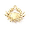 Rack Plating Brass Pendants X-KK-K270-30G-2