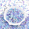 Glass Seed Beads SEED-N007-13C-2