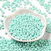 Baking Paint Glass Seed Beads X1-SEED-B001-02A-14-2