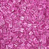 Transparent Inside Colours Glass Seed Beads SEED-T007-13D-2