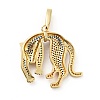 Rack Plating Brass Micro Pave Cubic Zirconia Pendants ZIRC-F129-35A-G-2