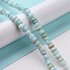 Natural Cultured Freshwater Shell Beads Strands SHEL-F002-01B-2