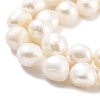 Natural Cultured Freshwater Pearl Beads Strands PEAR-P062-30A-4