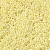 Baking Paint Glass Seed Beads SEED-P006-03A-15-3