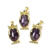 Natural Amethyst Pendant KK-F887-02G-03-1