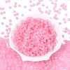 FGB Frosted Transparent Glass Seed Beads SEED-N013-03A-05-2