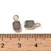 Natural Labradorite Rectangle Charms G-Q169-07G-11-3
