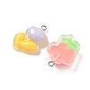 Transparent Resin Pendants RESI-I339-02P-2