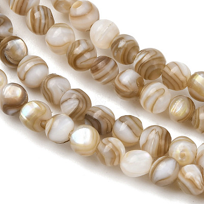 Natural Freshwater Shell Beads Strands SHEL-K006-71C-1