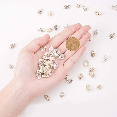 Spiral Shell Charm Pendants SSHEL-PH0002-18-1