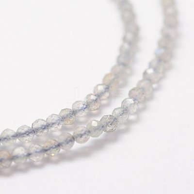 Natural Labradorite Beads Strands G-K185-10-1