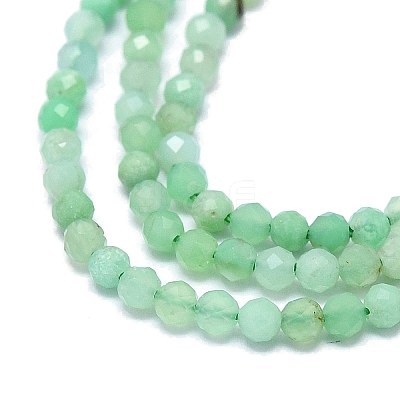 Natural Chrysoprase Beads Strands G-G106-C01-01-1