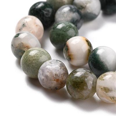 Natural Tree Agate Beads Strands G-I199-03-8mm-1