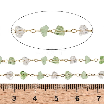 Glass & 304 Stainless Steel Beaded Chains SA-CBAD321-04C-1