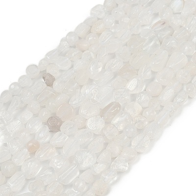 Natural Rainbow Moonstone Beads Strands G-Q060-D12-1