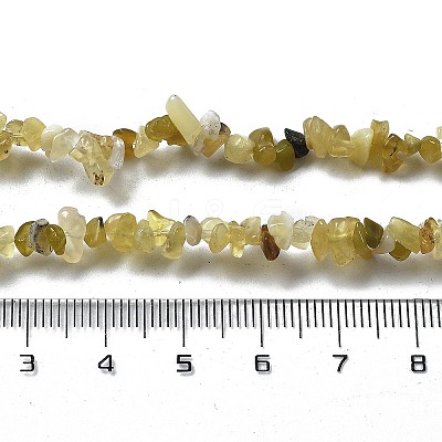 Natural Supper 7 Rutilated Quartz Chip Beaded Necklaces for Men Women NJEW-G159-01B-1