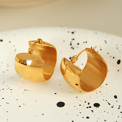 304 Stainless Steel Hoop Earrings EJEW-D282-04G-01-1