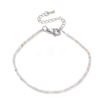 Natural Labradorite Round Beads Bracelets BJEW-JB09390-03-1