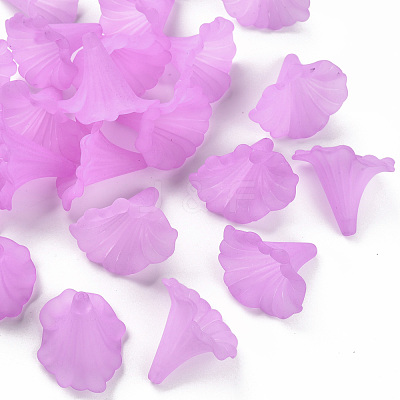 Transparent Acrylic Beads BSF796-C08-1