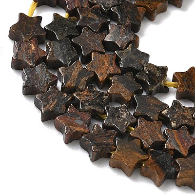 Natural Bronzite Beads Strands G-G085-B60-02-1
