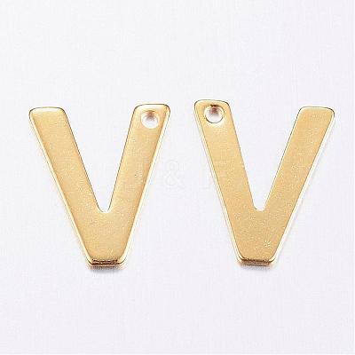 304 Stainless Steel Charms STAS-P141-V-1