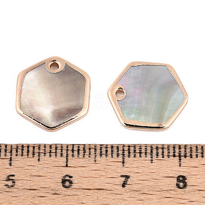 Natural Black Lip Shell Hexagon Charms BSHE-T014-05-1