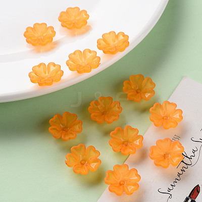 Transparent Frosted Acrylic Bead Caps MACR-S371-04A-725-1