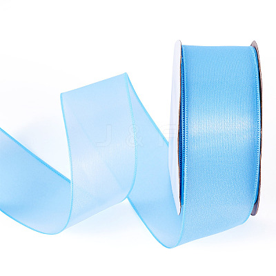 Polyester Organza Ribbon TAC0006-01B-1