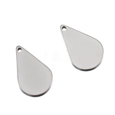Stainless Steel Charms PW-WG31F01-02-1