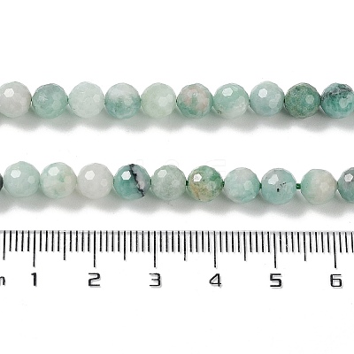 Natural Emerald Beads Strands G-P514-A06-04-1