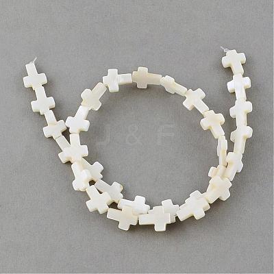 Natural Sea Shell Beads Strands SSHEL-Q296-34-1