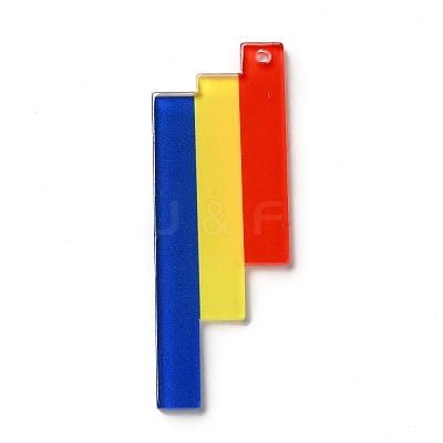 Rainbow Color Printed Acrylic Pendants OACR-B006-01G-1