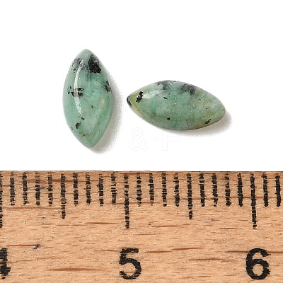 Natural African Turquoise(Jasper) Cabochons G-F772-01B-14-1