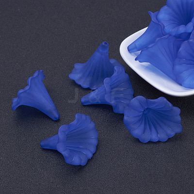 Transparent Acrylic Beads X-BSF796-C05-1