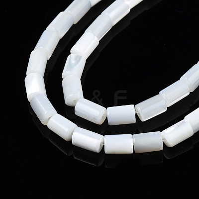Natural Freshwater Shell Beads Strands SHEL-N003-26-A01-1