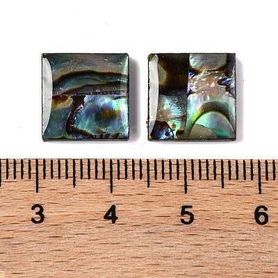Natural Paua Shell Epoxy Resin Cabochons SSHEL-S279-01H-1