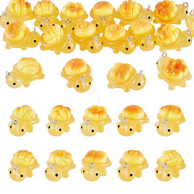 20Pcs 10 Styles Transparent Resin Bread-shaped Turtle Pendants RESI-TA0005-24-1