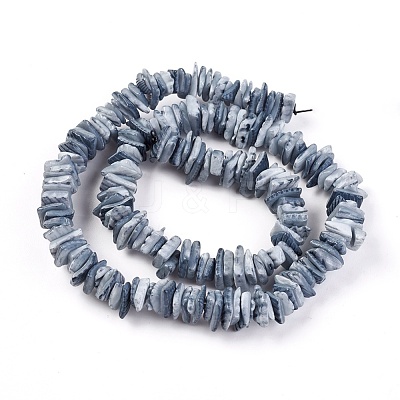 Natural Shell Beads Strands X-BSHE-I008-01-1