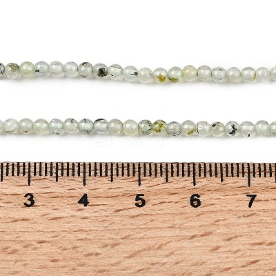 Natural Prehnite Beads Strands G-RM250104-A9-1